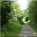 SK4739 : Nutbrook Trail near Hallam Fields by David Lally