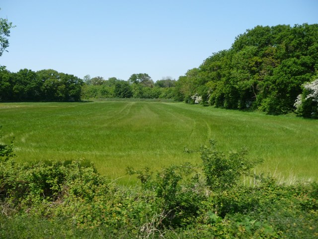 Farmland between the B1135 and the Mid-Norfolk Railway