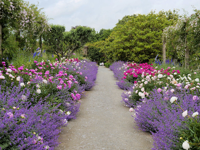 Scented Path, Mount Congreve Gardens