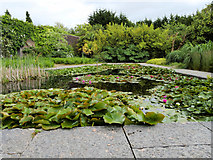 S5310 : Lily Pond, Mount Congreve Gardens by David Dixon