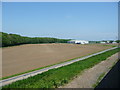 Farmland south of Falstoff