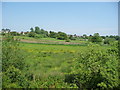 Drained farmland, on the western edge of Wymondham