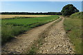 Track towards Stoke Wood