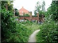 The Wensum valley wooded ridge walk