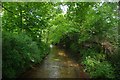 Shill Brook, Bampton, Oxon