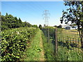 Llwybr tu ol i ysgol /  / Path at rear of school