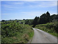 Road above Wernbongam