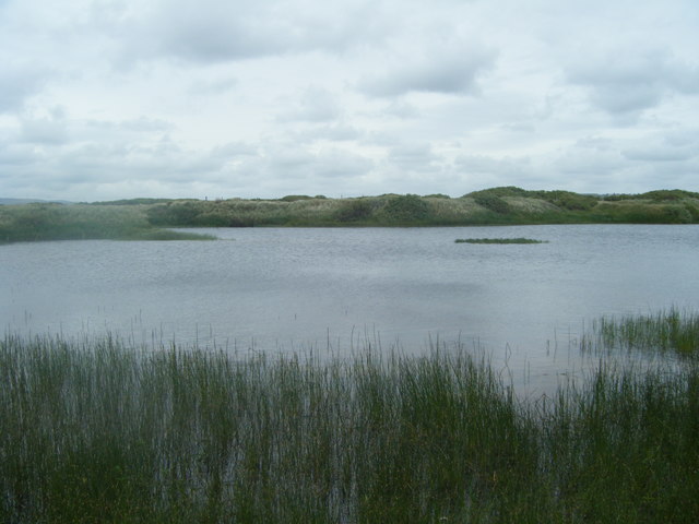 North Walney Reserve