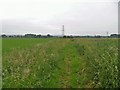 Towards Cuttenham Farm