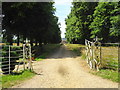 Driveway through Hale Park