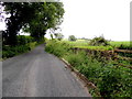 Small bridge along Ballymullarty Road