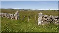 NY9091 : Stone gateposts, Monkridge by Richard Webb