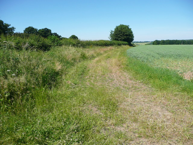 Footpath on a cart track, Offley