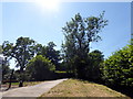 Church Street, Old Heathfield