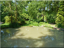 TQ2734 : Small pond, Tilgate Park by Robin Webster