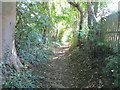 Enclosed paved Bridleway leaving Baildon for Hawksworth or Guiseley