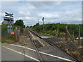 View up the line from the site of High Halstow Halt