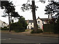 Houses on Lyminster Road, Wick