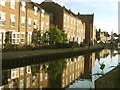 Beverley Beck Reflection