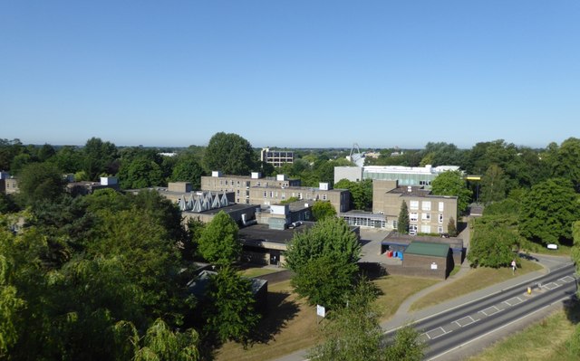 University Road and Derwent College from above