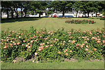 NX1897 : Victory Park Rose Garden, Girvan by Billy McCrorie