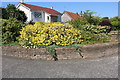 Flower Bed, Girvan