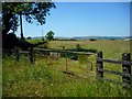 Rusty field gate