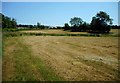 Fields beside Mossneuk