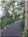 Cycle path at the end of Harrowby Road