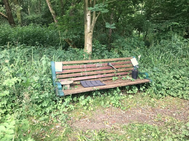 Memorial bench in Podmore Wood