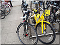 SE2933 : OFO bike at Leeds railway station by Stephen Craven