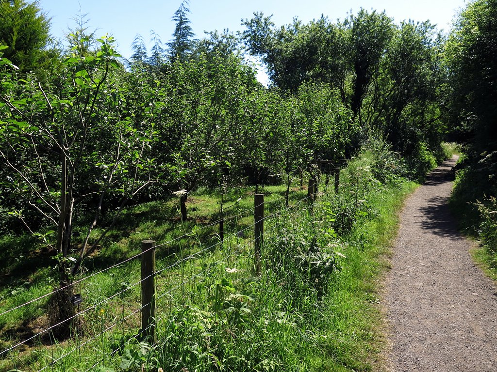 apple orchard near lock and dam 13