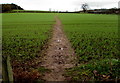 Public footpath through a field north of Shifnal