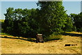 Hay cutting in the summer sun