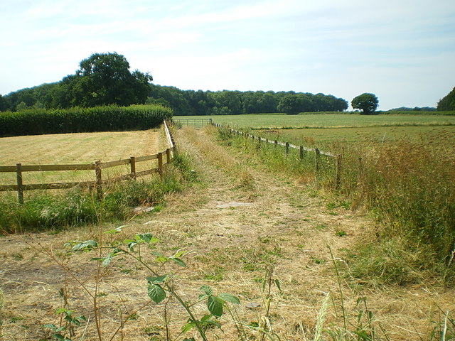 The first 50 yards of the bridleway