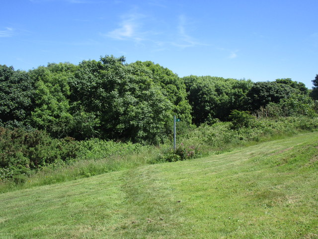 Llanreath Pembrokeshire Sir Benfro Area Information Map Walks And More