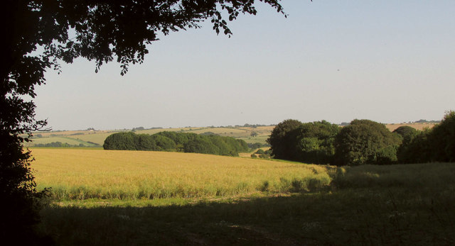 Farmland and woods by Portfield Road