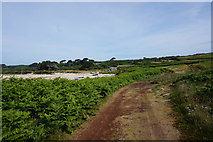SV9210 : Coastal path towards Porth Hellick, St Mary's by Ian S