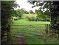 Entrance to field north of Berrycot Lane