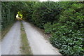 Bridleway into Bainton