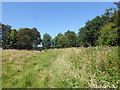 Yeading Brook Meadows