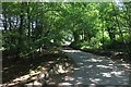 Driveway at Stumblewood Common