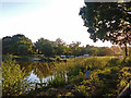 Wire Mill Lake near Sunset