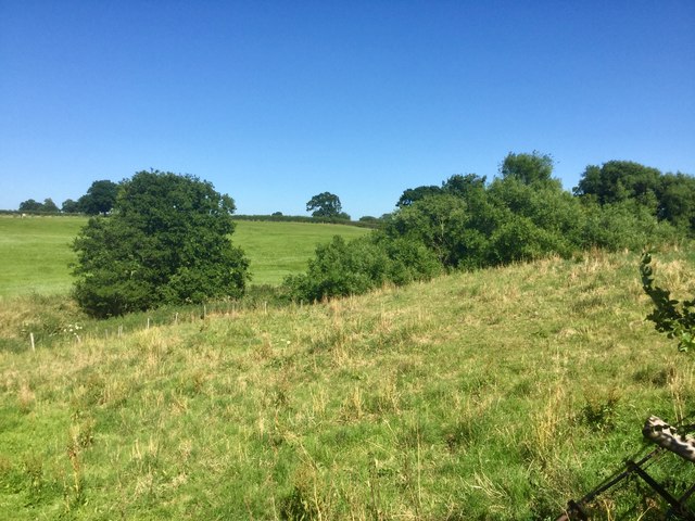 Fields off Manor Lane