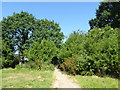 The Hillingdon Trail approaching Gutteridge Wood