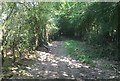 Bridleway heading towards Plawhatch Lane