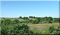 Carryduff River Valley