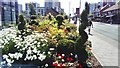 View of flowers and topiary hedges in the Colindale Gardens development from Colindale Lane