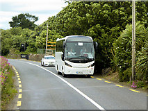 W7870 : Coach on the Road to Cobh by David Dixon
