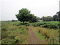 Llwybr cyhoeddus ger Heol Las / A public footpath near Heol Las